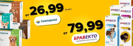 Бравекта и симпарика